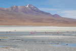 2011-11-22_12-18-13_DSC_8619.jpg