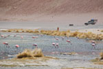 2011-11-22_12-18-37_DSC_8622.jpg