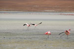 2011-11-22_12-22-27_DSC_8638.jpg