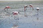 2011-11-22_12-23-21_DSC_8645.jpg