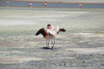 2011-11-22_12-26-32_DSC_8659.jpg