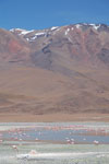 2011-11-22_12-27-45_DSC_8661.jpg