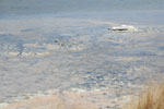 2011-11-22_12-30-35_DSC_8664.jpg