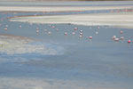 2011-11-22_12-31-32_DSC_8666.jpg