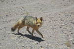 2011-11-22_12-50-32_DSC_8673.jpg