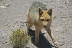 2011-11-22_12-50-37_DSC_8675.jpg