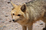 2011-11-22_12-51-58_DSC_8678.jpg
