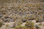 2011-11-22_15-04-46_DSC_8787.jpg
