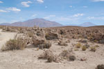 2011-11-22_16-06-10_DSC_8841.jpg