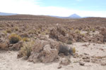 2011-11-22_16-07-25_DSC_8844.jpg