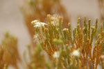 2011-11-22_16-18-08_DSC_8897.jpg