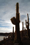 2011-11-23_06-35-45_DSC_9111.jpg