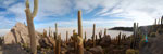 2011-11-23_06-38-08_DSC_9119-pan.jpg