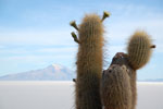 2011-11-23_06-44-57_DSC_9148.jpg