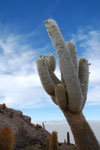 2011-11-23_06-53-25_DSC_9181.jpg