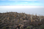 2011-11-23_07-03-51_DSC_9217.jpg