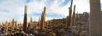 2011-11-23_07-16-13_DSC_9252-pan.jpg