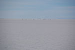 2011-11-23_08-15-51_DSC_9278.jpg
