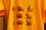 2011-11-23_10-44-01_DSC_9424.jpg