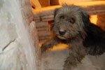 2011-11-23_11-51-28_DSC_9449.jpg