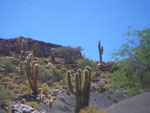2011-11-24_14-09-05_IMGP2933.jpg