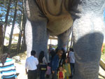2011-11-25_15-21-39_IMGP3024.jpg