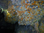 2011-11-29_13-41-01_IMGP3499.jpg
