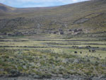 2011-11-30_15-26-39_IMGP3622.jpg