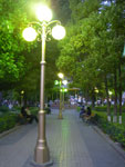 IMGP3647.jpg