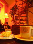 IMGP3650.jpg