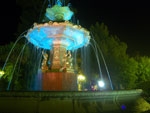 IMGP3657.jpg