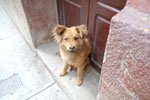 2011-12-01_14-42-25_DSC_9601.jpg
