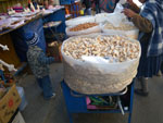 2011-12-01_16-12-46_IMGP3711.jpg