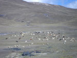 2011-12-05_09-05-03_IMGP4075.jpg