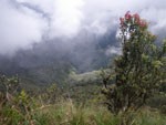 2011-12-05_10-59-53_IMGP4121.jpg