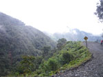 2011-12-05_11-20-55_IMGP4149.jpg