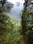 2011-12-05_12-26-39_IMGP4210.jpg