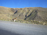 2011-12-05_17-21-35_IMGP4273.jpg