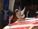 2011-12-06_09-49-47_IMGP4290.jpg
