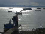 Photos