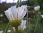 2011-12-09_15-26-01_IMGP4625.jpg
