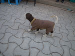 2011-12-09_18-28-32_IMGP4695.jpg
