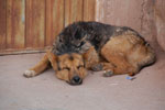 2011-12-11_18-39-48_DSC_9790.jpg
