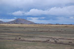 2011-12-12_09-21-33_DSC_9808.jpg