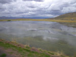 Photos