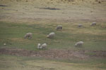 2011-12-12_14-03-16_DSC_9817.jpg