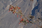 2011-12-14_09-00-38_DSC_9889.jpg