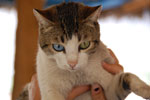 2011-12-14_12-55-33_DSC_0104.jpg