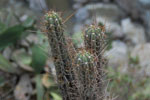 2011-12-14_15-59-49_DSC_0173.jpg