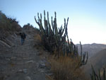2011-12-15_05-44-46_IMGP0571.jpg